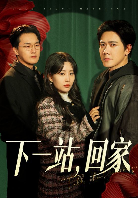 下一站，回家第1-20集