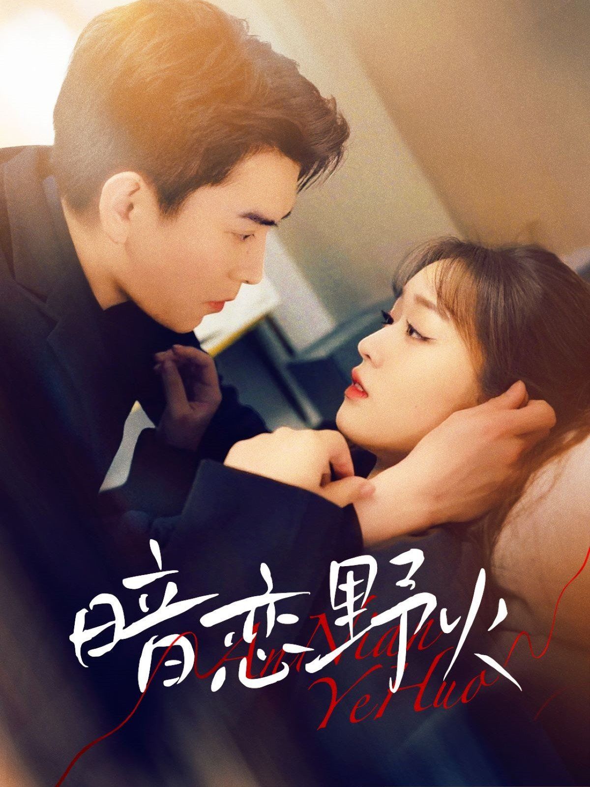 暗恋野火第01-30集