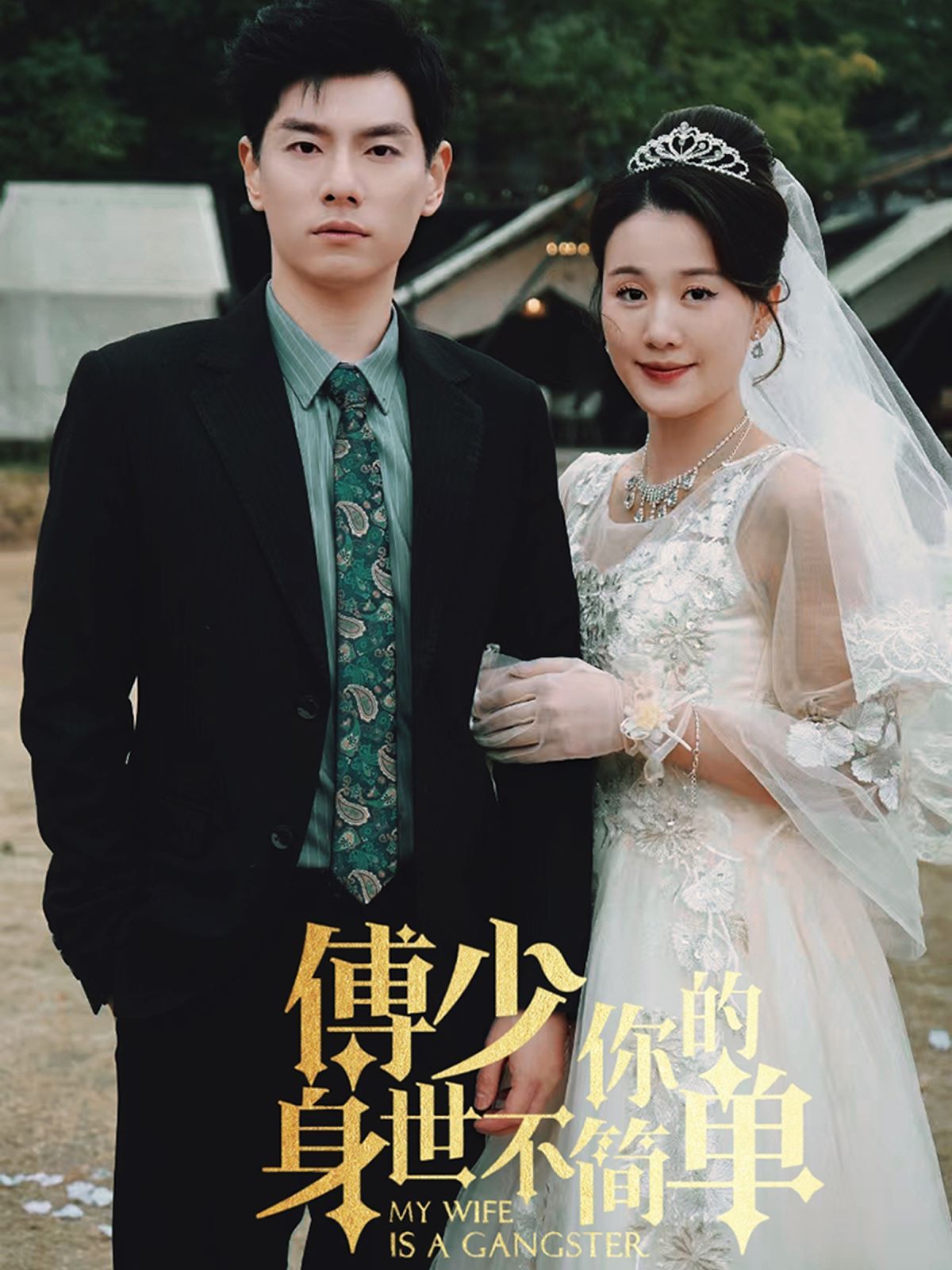 傅少你的身世不简单第21-40集