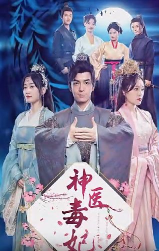 神医毒妃第21-40集