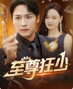 至尊狂少第1-20集