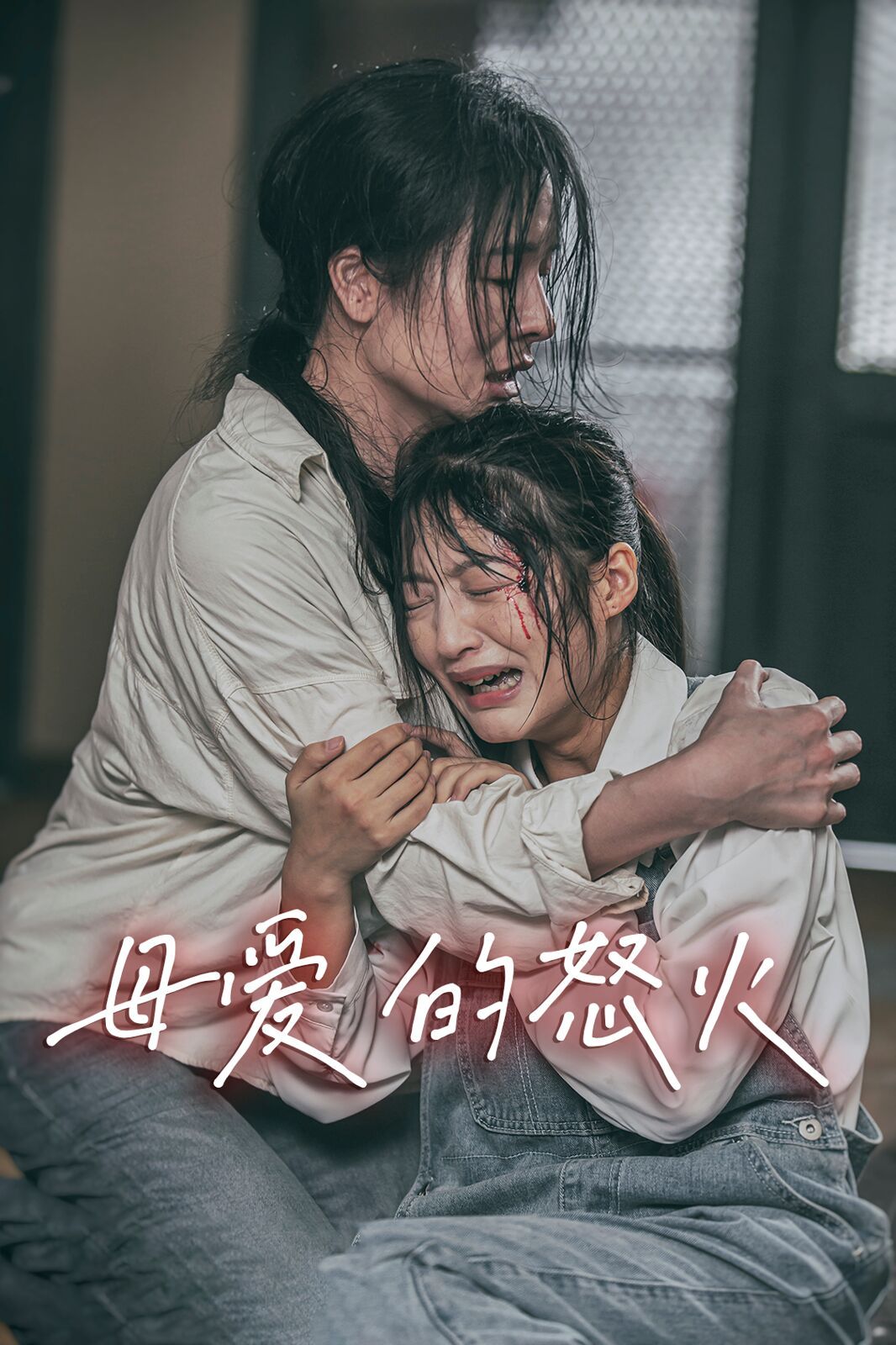 母爱的怒火第1-28集完结(大结局)