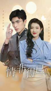 情非得已第01-30集(大结局)