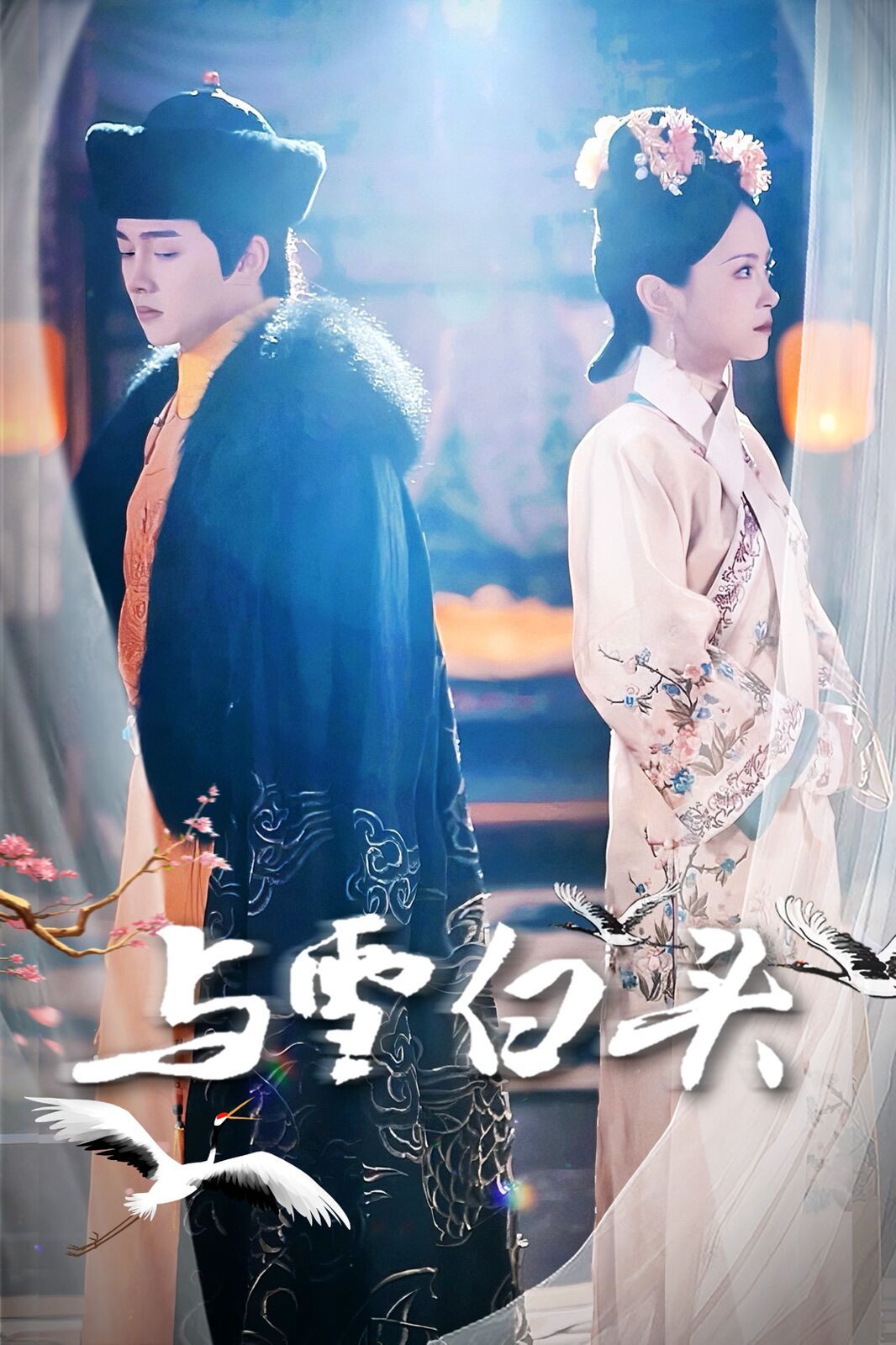 与雪白头第41-60集