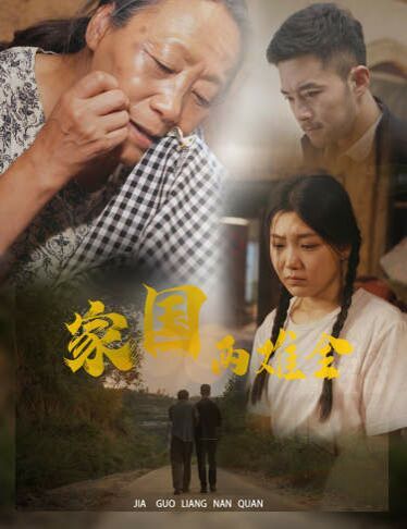 家国两难全（自古忠孝两难全）第41-62集完结(大结局)