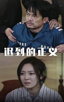 迟到的正义第1-20集