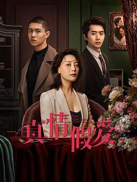 真情假爱第13集