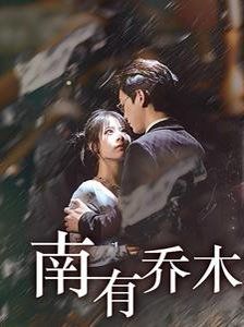 南有乔木第1-20集