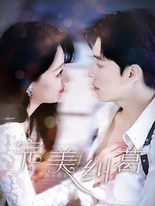 完美纠葛第21-40集