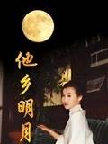 他乡明月第12集